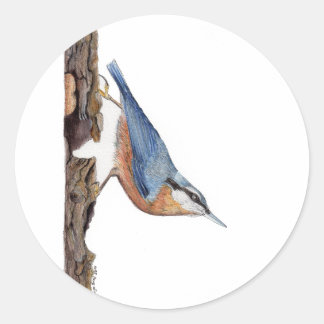 Wood Nuthatch Bird (Sitta Europaea) Sticker Runt Klistermärke