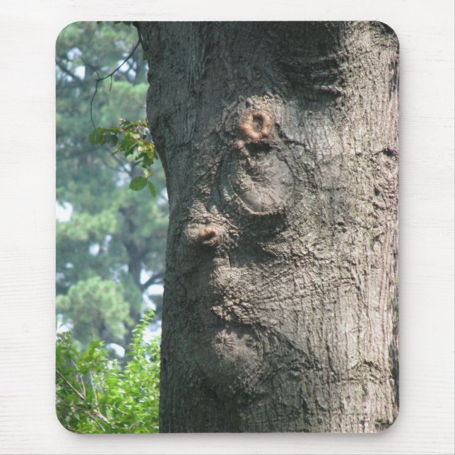 Wood Nymph Musmatta (Framsidan)