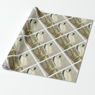 Wood Stork by Audubon Presentpapper