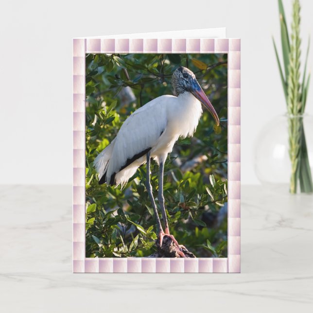 Wood Stork Card Kort (Framsida)