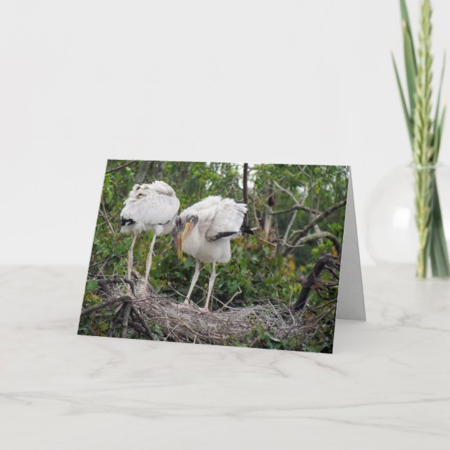 Wood Stork Greeting Card Kort (Framsida)