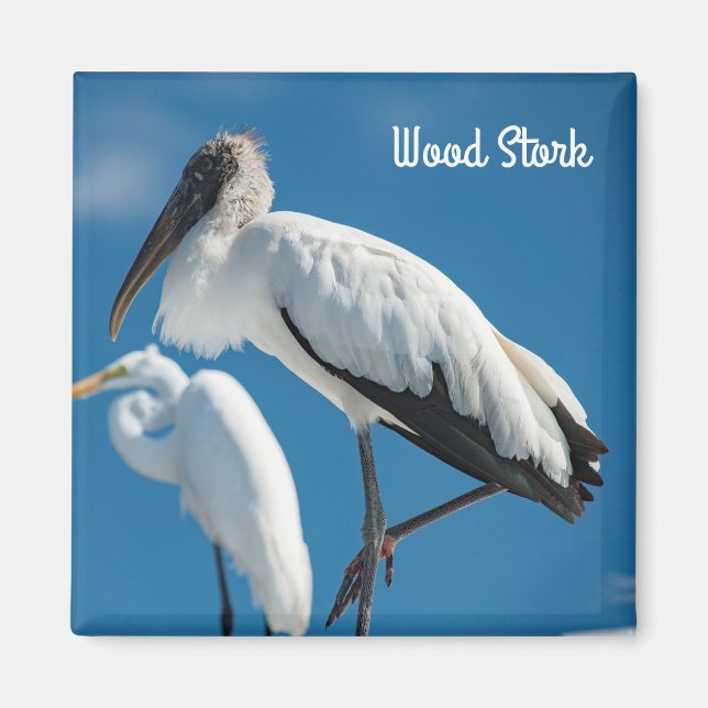 Wood Stork Magnet (Framsidan)