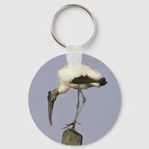Wood Stork Nyckelring