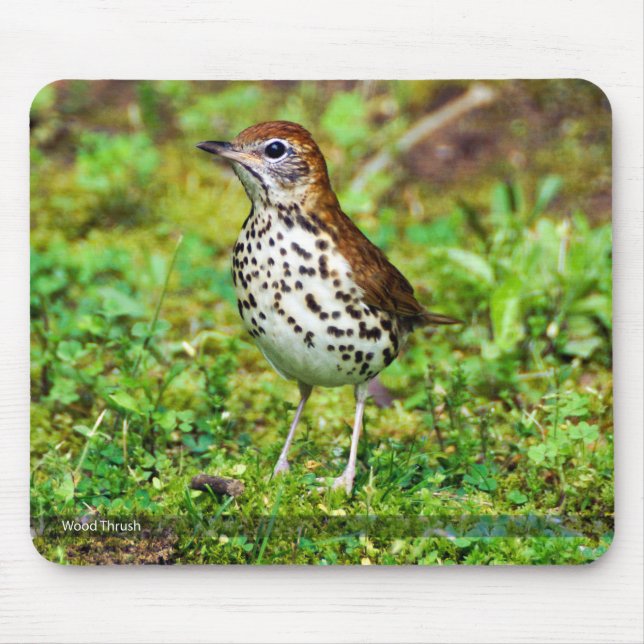 Wood trast Mousepad Musmatta (Framsidan)