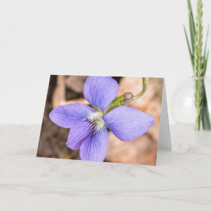 Wood Violet Wildblomma Notecard Kort