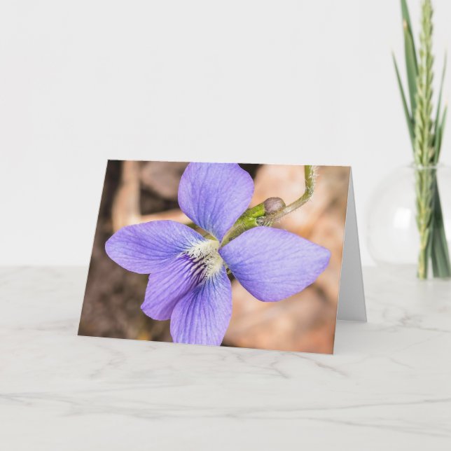 Wood Violet Wildblomma Notecard Kort (Framsida)