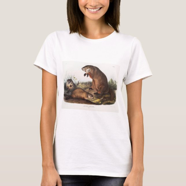 Woodchuck Camping Deco Gifts T Shirt (Framsida)