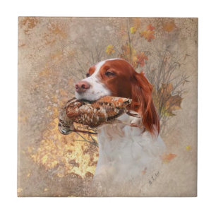 Woodcock Hunting Season Kakelplatta