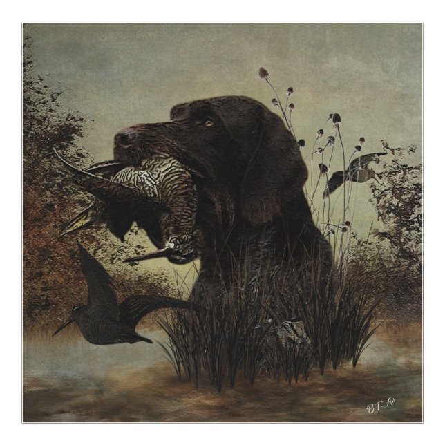 Woodcock Hunting with German Wirehected Pointer Fototryck (Framsidan)