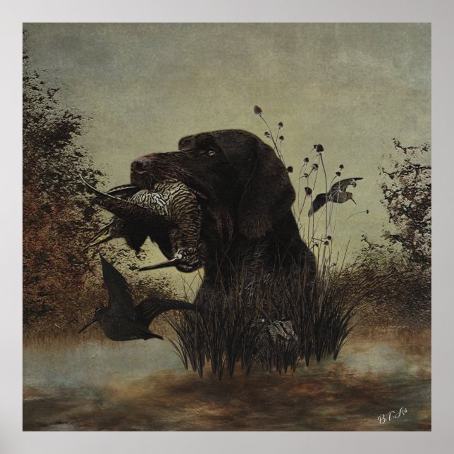 Woodcock Hunting with German Wirehected Pointer Poster (Framsidan)