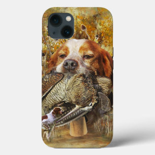Woodcock-jakt med Brittany Spain