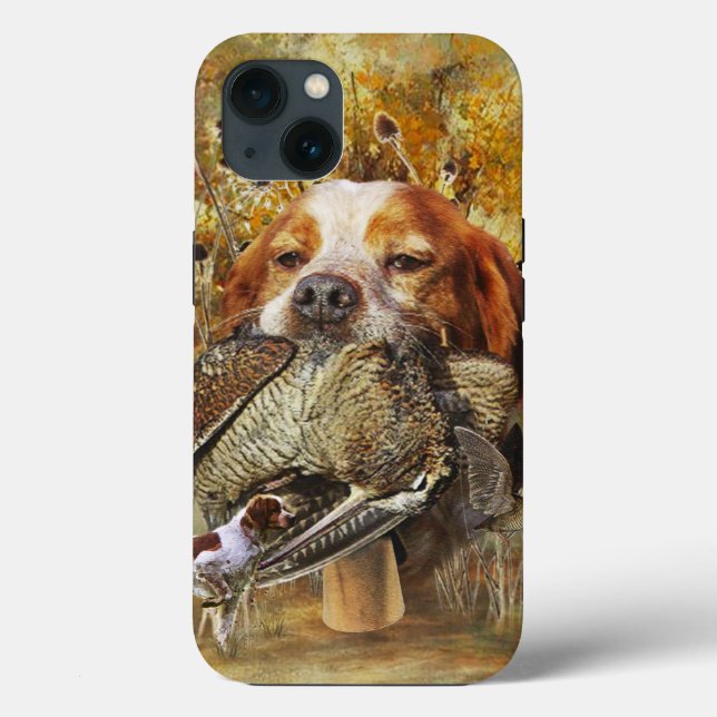 Woodcock-jakt med Brittany Spain (Baksida)