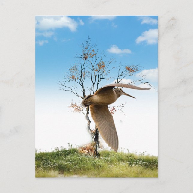 Woodcock Vykort (Framsida)