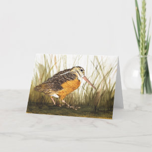Woodcock Watercolor Hälsning Crad Kort