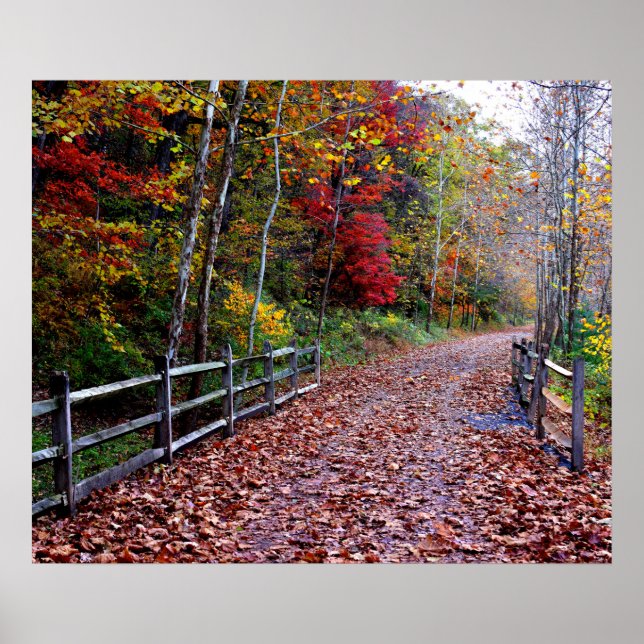Wooded Väg Poster (Framsidan)