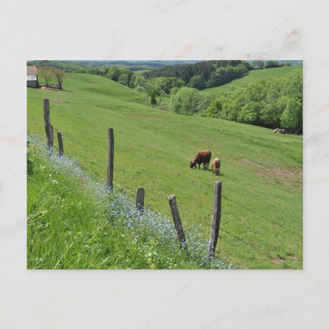 Wooded valley, Auvergne Vykort (Framsida)