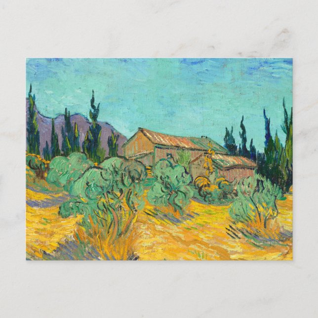 Wooden Cabins among the Olive Trees and Cypresses Vykort (Framsida)