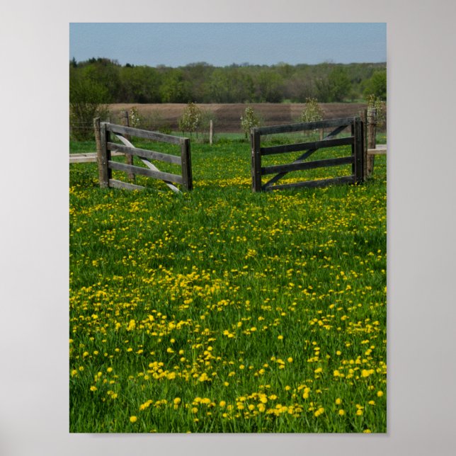 Wooden Farm Grind Poster (Framsidan)