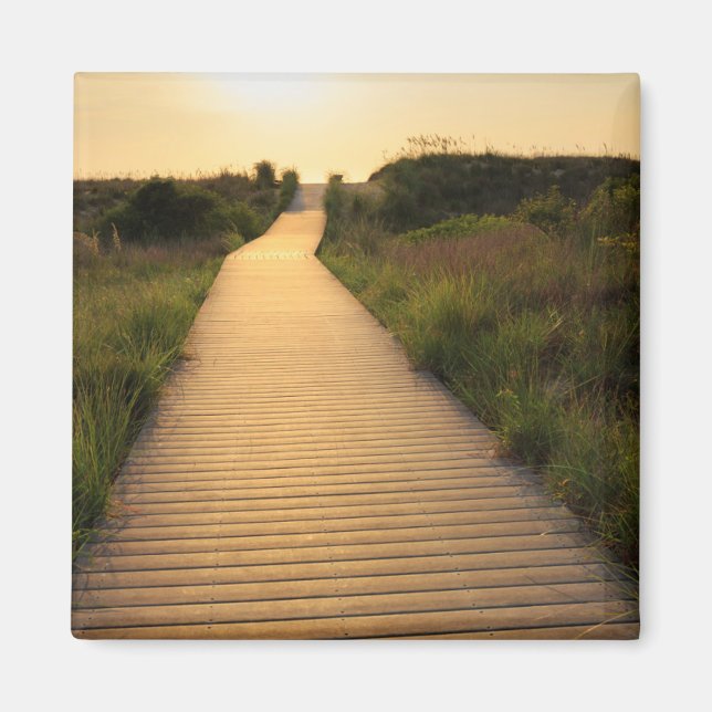 Wooden Walkway till Beach Magnet (Framsidan)