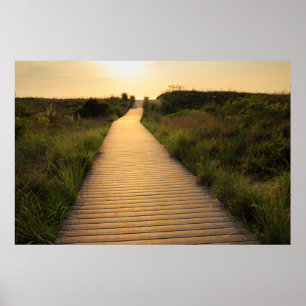 Wooden Walkway till Beach Poster