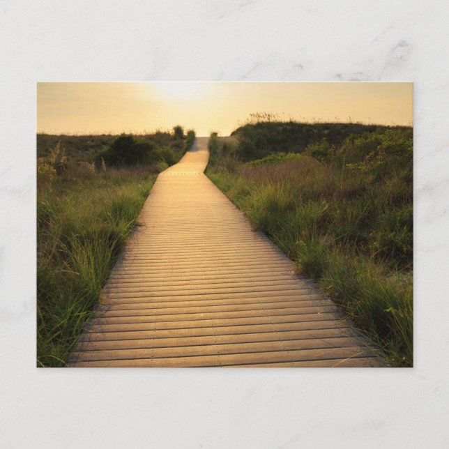 Wooden Walkway till Beach Vykort (Framsida)