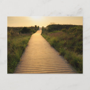 Wooden Walkway till Beach Vykort