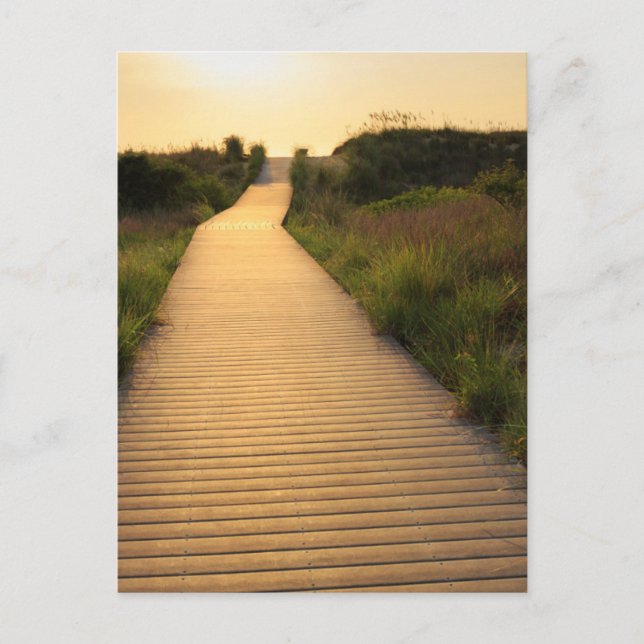 Wooden Walkway till Beach Vykort (Framsida)