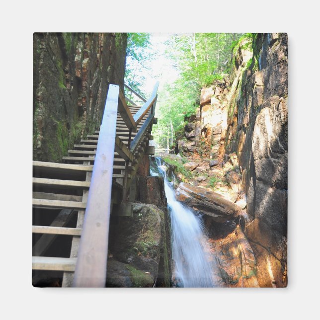 Wooden Walkway Waterfall Flume Gorge NH Magnet (Framsidan)