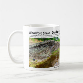 Woodford skiffer XII - Outcropkarakterisering Kaffemugg