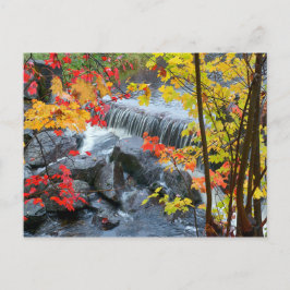 Woodford State Park Vykort