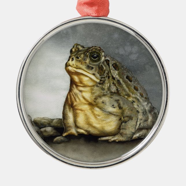 Woodhouse Toad-ornament Julgransprydnad Metall (Framsidan)