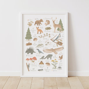 Woodland Animal Alphabet ABC Kids Room Decor Poster