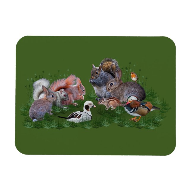 Woodland Animals Flexi Magnet (Horisontell)