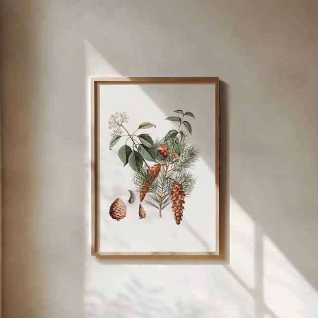 Woodland Botanical – Pine Cone and Berry  Poster (Skapare uppladdad)