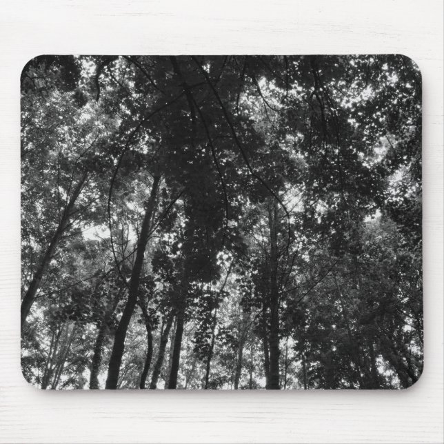 Woodland Canopy 01 BW Musmatta (Framsidan)