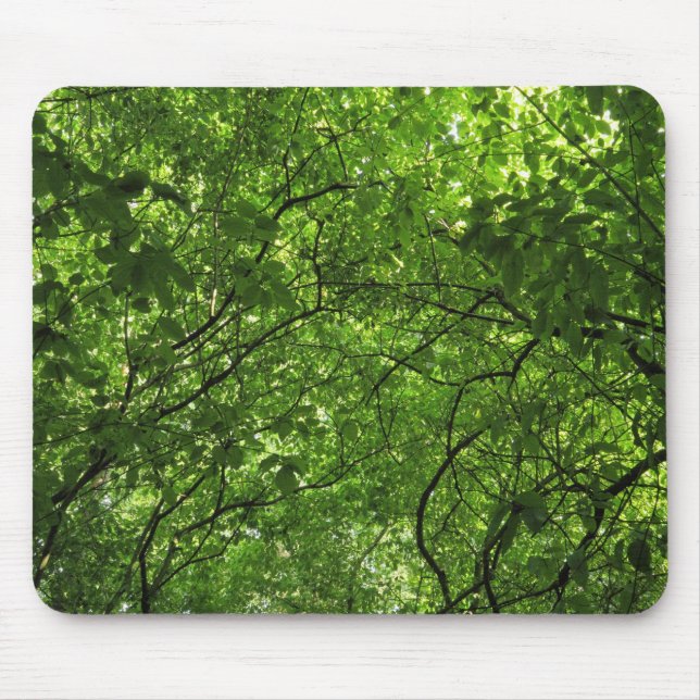 Woodland Canopy Musmatta (Framsidan)