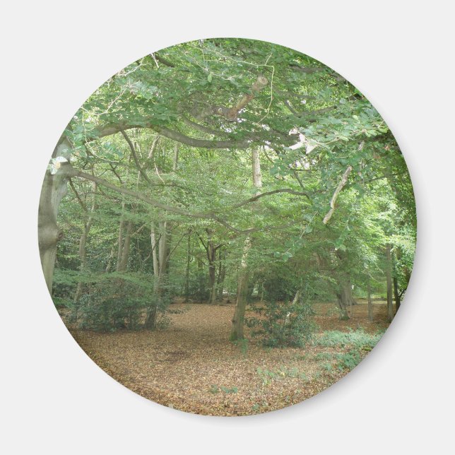 Woodland Clearing Magnet (Framsidan)