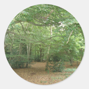 Woodland Clearing Stickers Runt Klistermärke