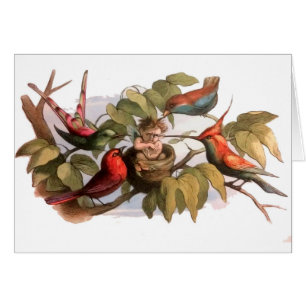 Woodland Elf i Nest: Antique Bird Sprite Fairy Hälsningskort
