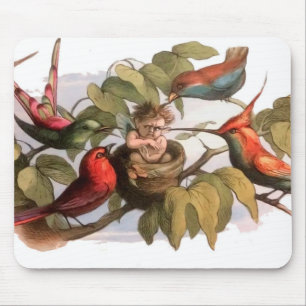 Woodland Elf i Nest: Antique Bird Sprite Fairy Musmatta
