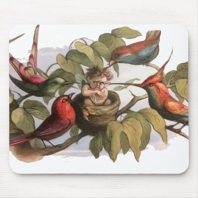 Woodland Elf i Nest: Antique Bird Sprite Fairy Musmatta (Framsidan)