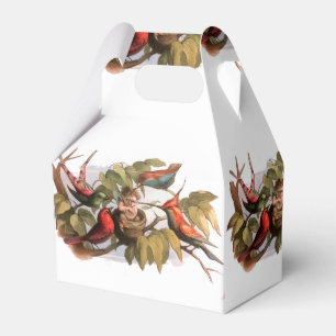 Woodland Elf i Nest: Antique Bird Sprite Fairy Presentaskar