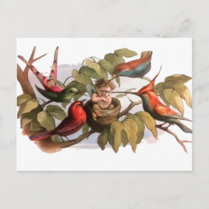 Woodland Elf i Nest: Antique Bird Sprite Fairy Vykort