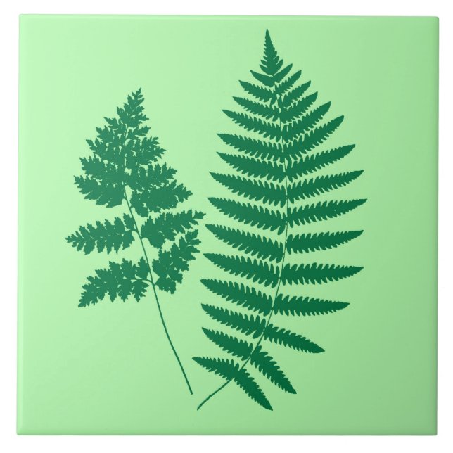 Woodland Fern, Emerald och Ljust grönt Kakelplatta (Framsidan)