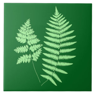 Woodland Fern, Emerald och Ljust grönt Kakelplatta
