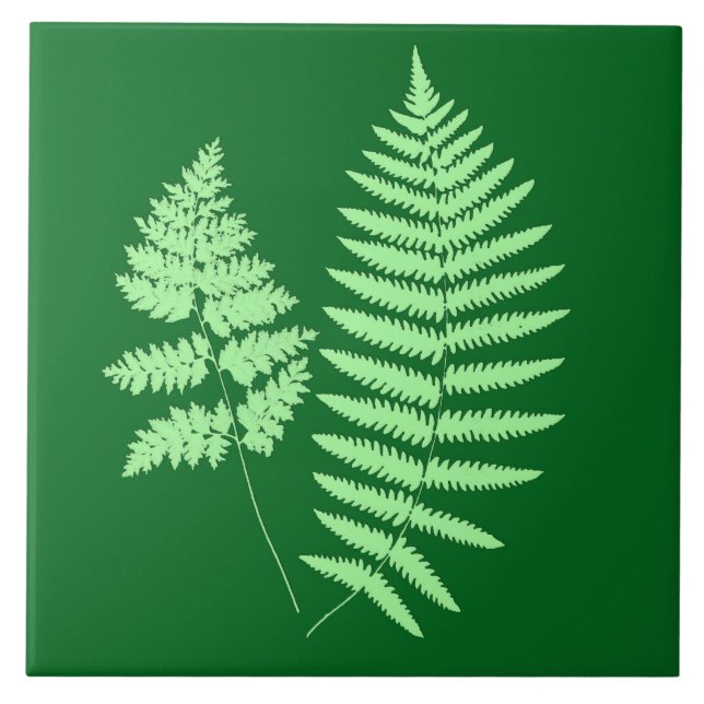 Woodland Fern, Emerald och Ljust grönt Kakelplatta (Framsidan)