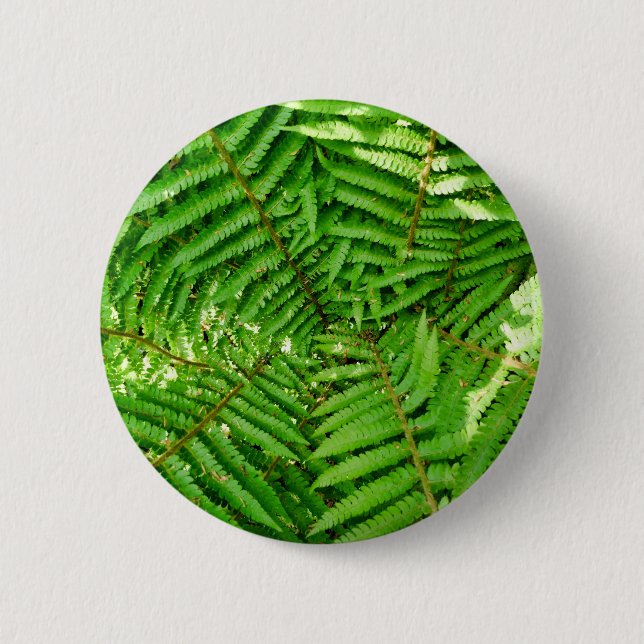 Woodland Ferns Badge Knapp (Framsida)
