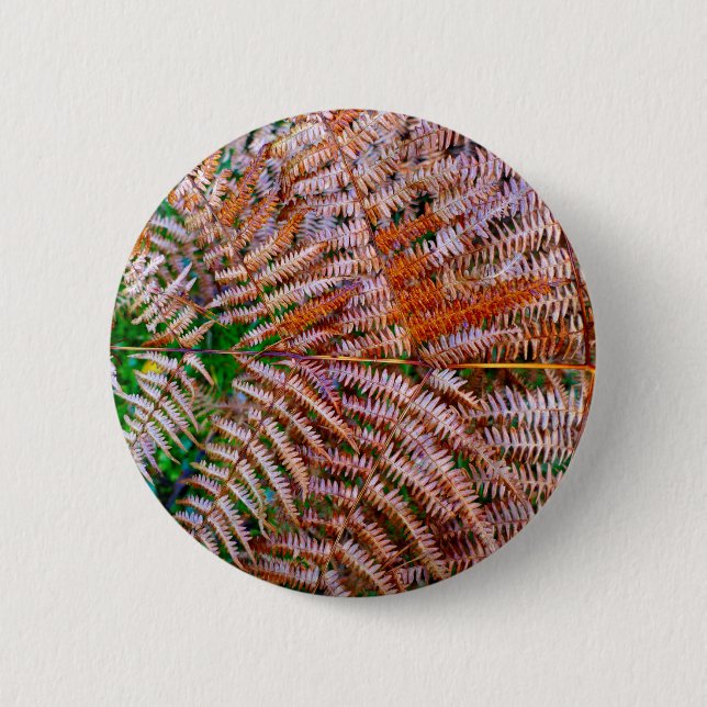 Woodland Ferns Badge Knapp (Framsida)
