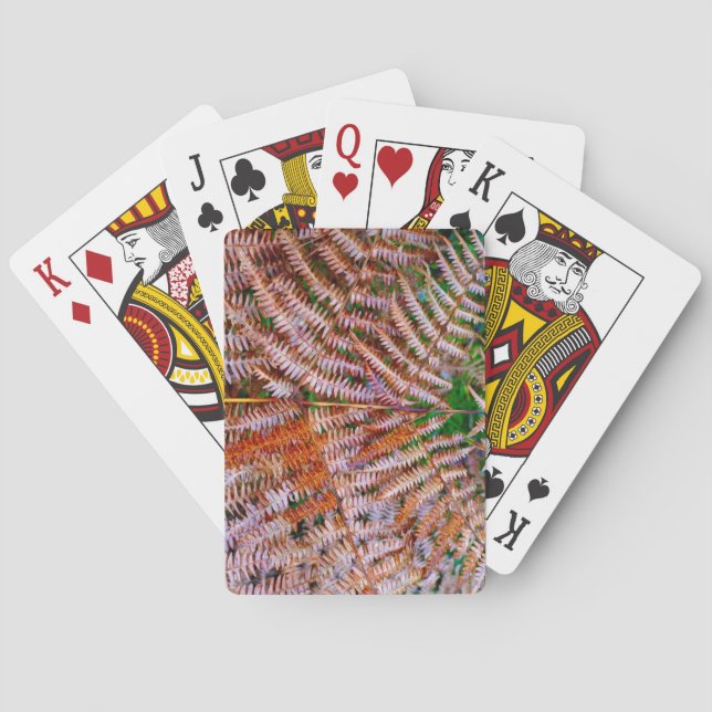 Woodland Ferns Casinokort (Baksidan)