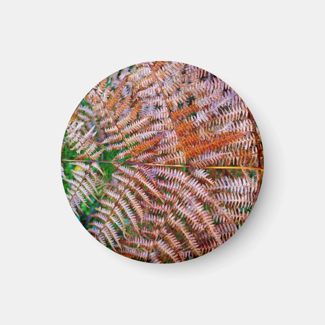 Woodland Ferns Magnet (Framsidan)